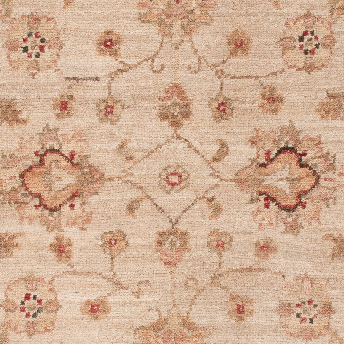 Ziegler Rug - 123 x 84 cm - beige