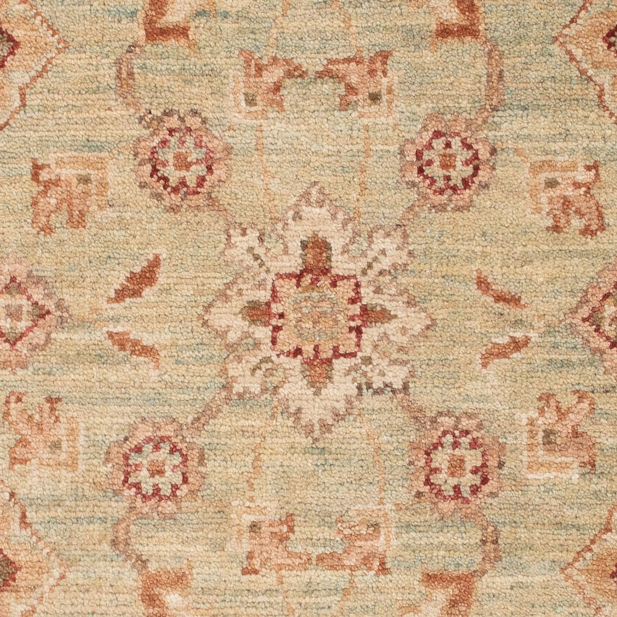 Ziegler Rug - 105 x 73 cm - beige