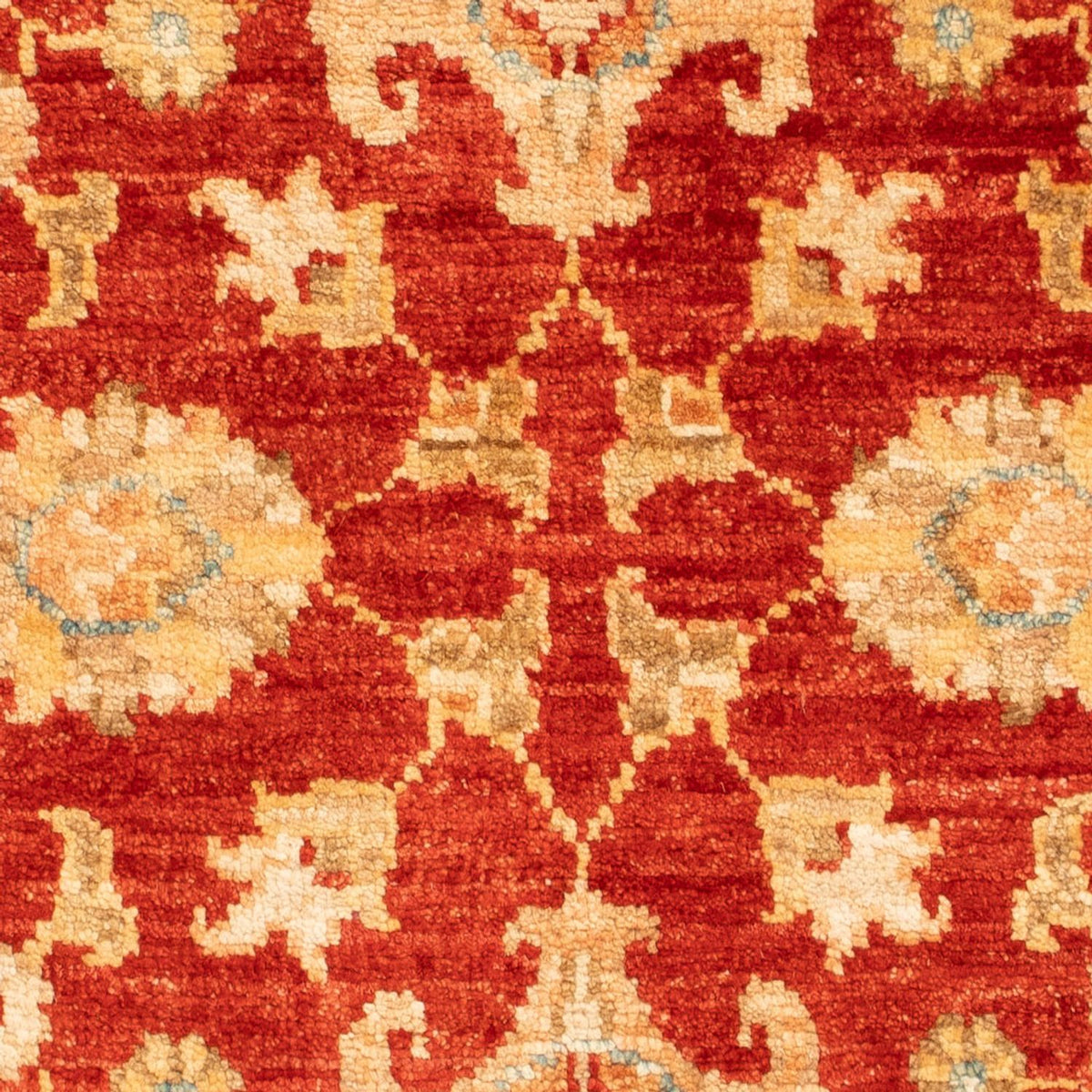Ziegler Rug - 87 x 59 cm - red