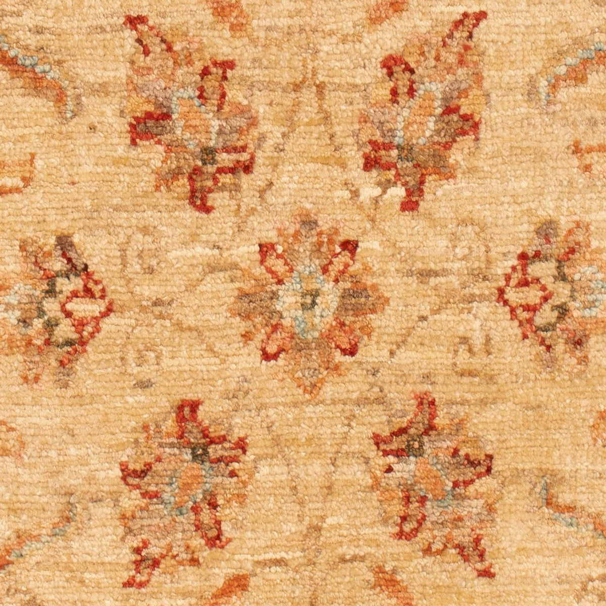 Ziegler Rug - 102 x 61 cm - beige