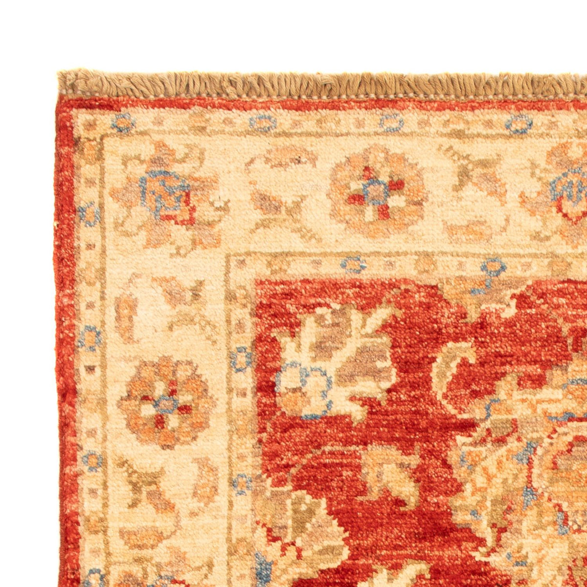 Ziegler Rug 63x92cm - Oriental Rug