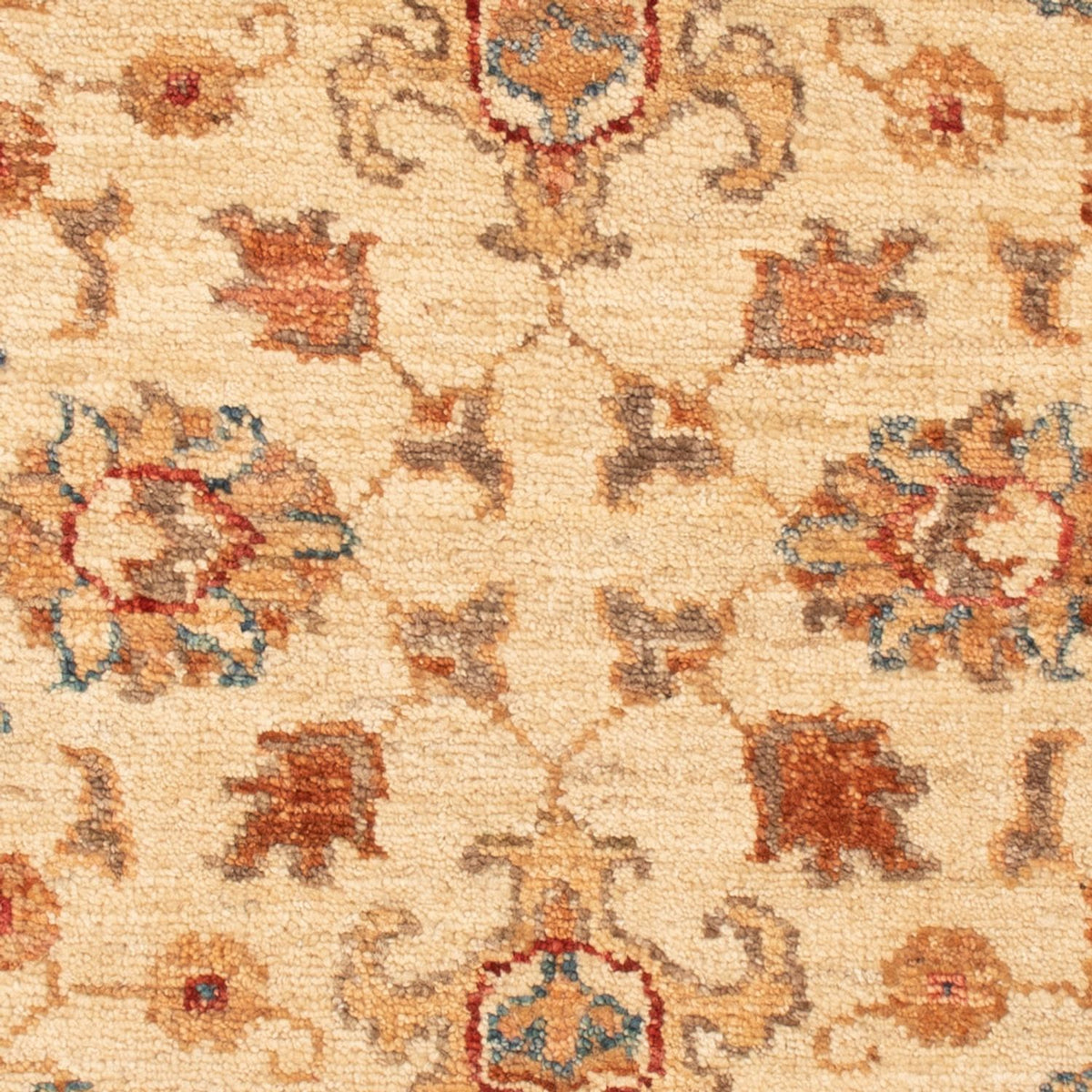 Ziegler Rug - 88 x 61 cm - beige