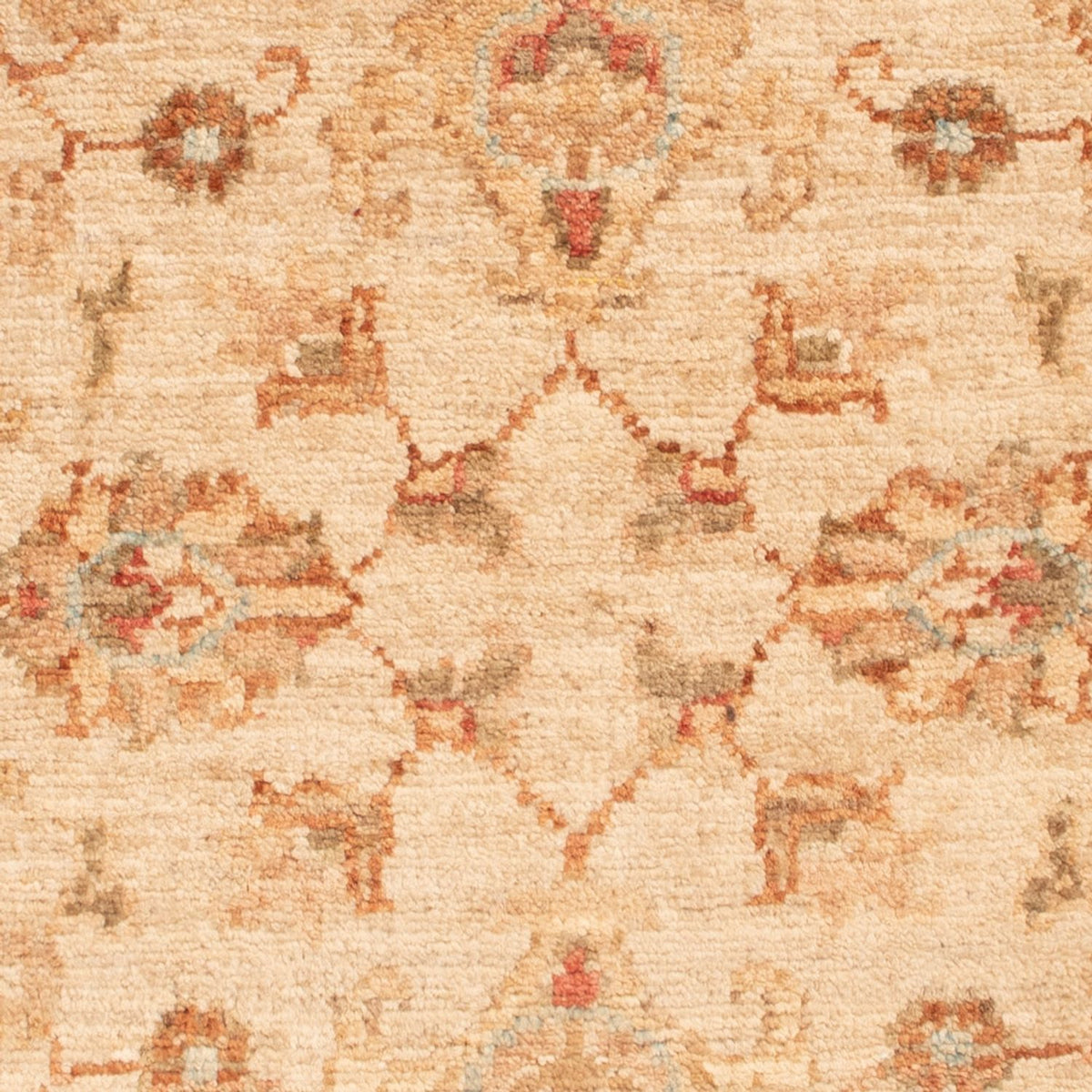 Ziegler Rug - 80 x 59 cm - beige