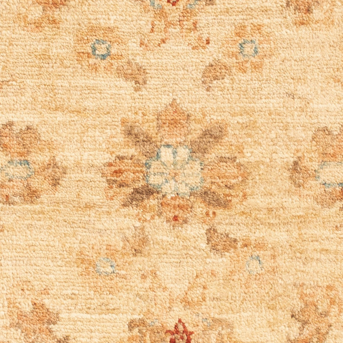 Ziegler Rug - 92 x 60 cm - beige