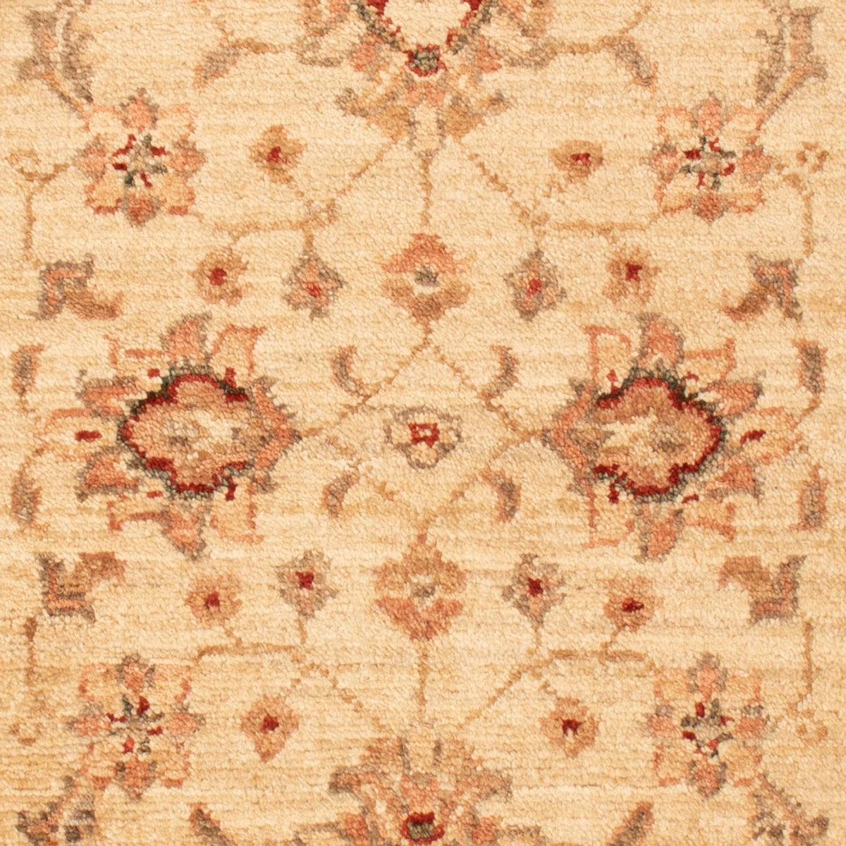 Ziegler Rug - 90 x 60 cm - beige