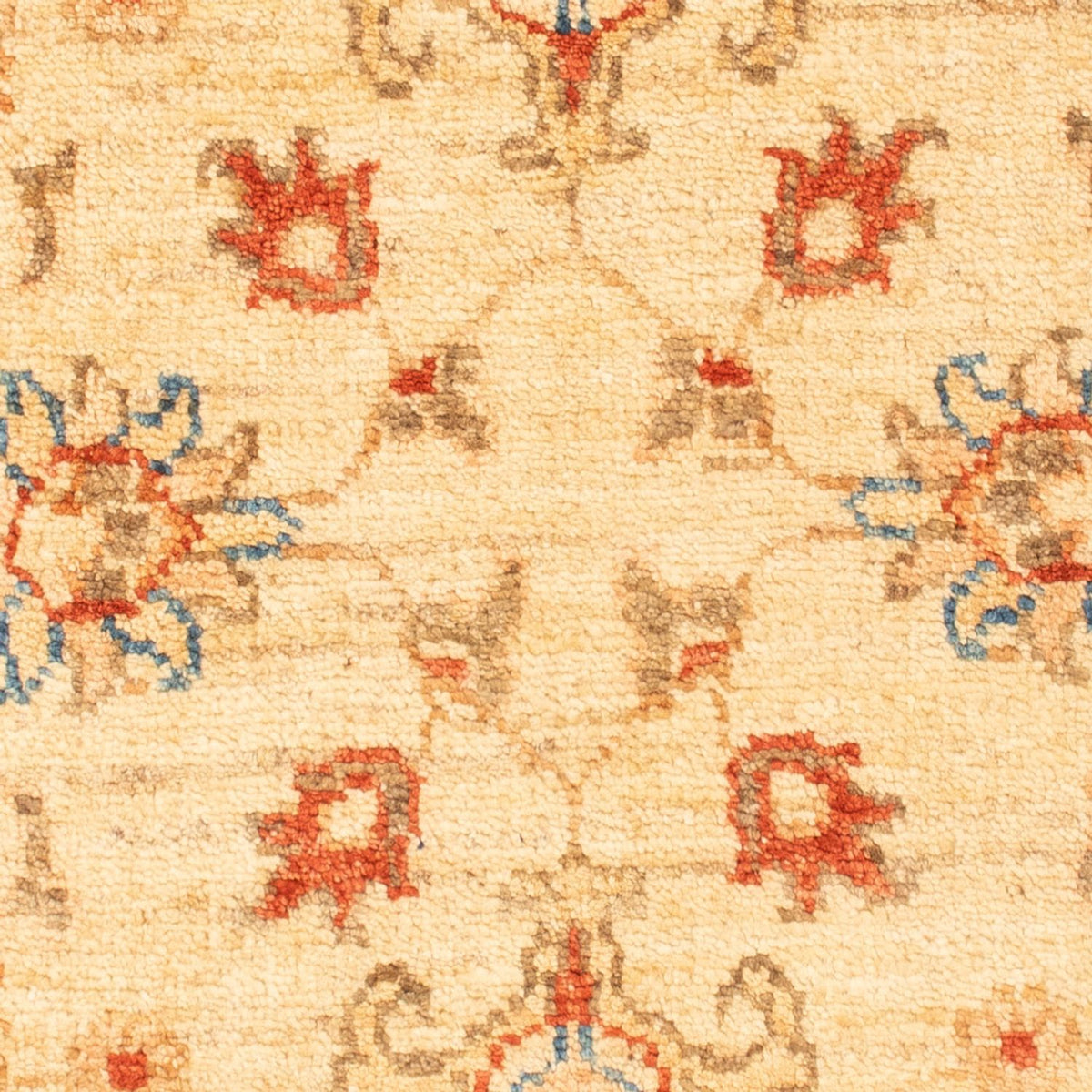 Ziegler Rug - 92 x 63 cm - beige
