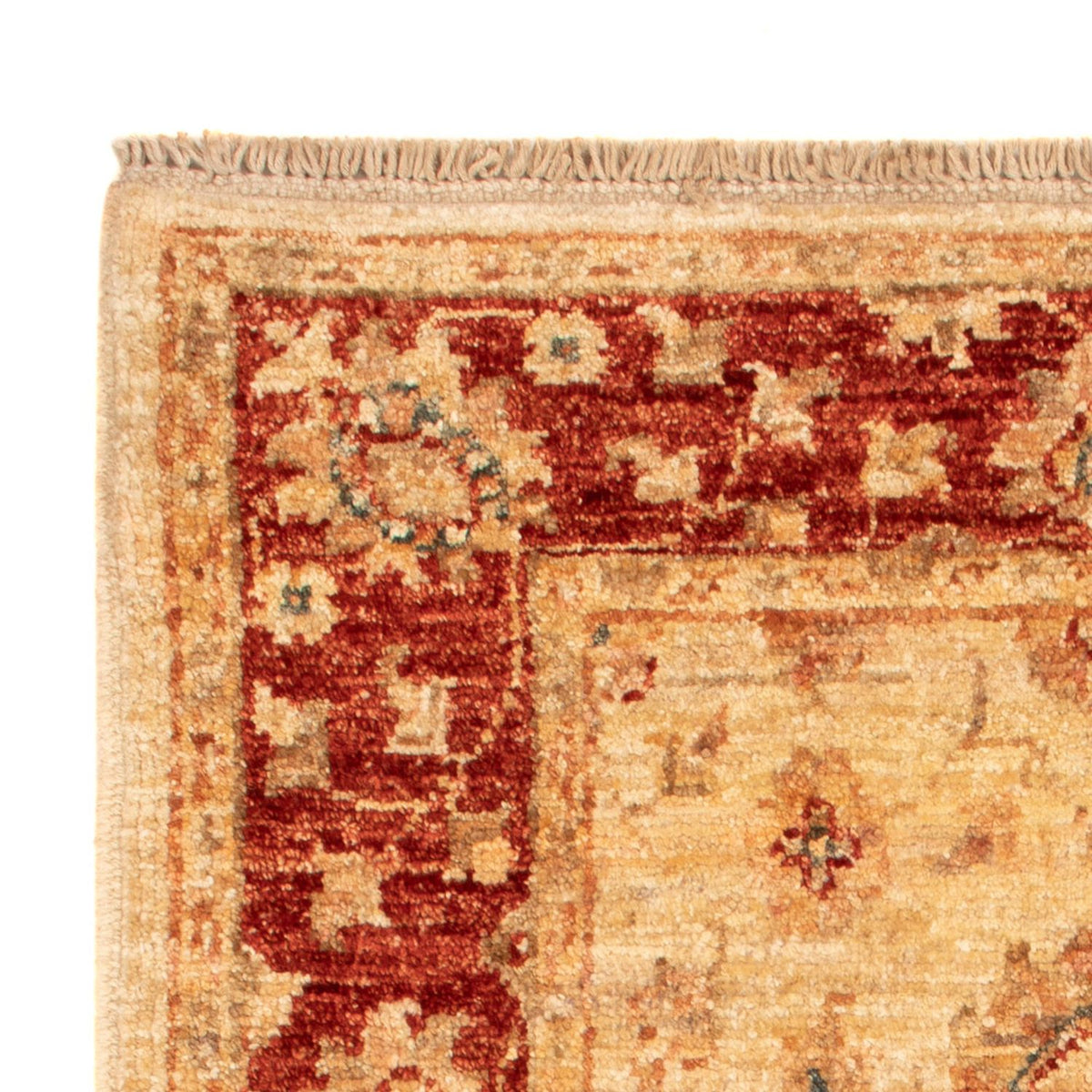 Ziegler Rug 61x88cm - Oriental Rug
