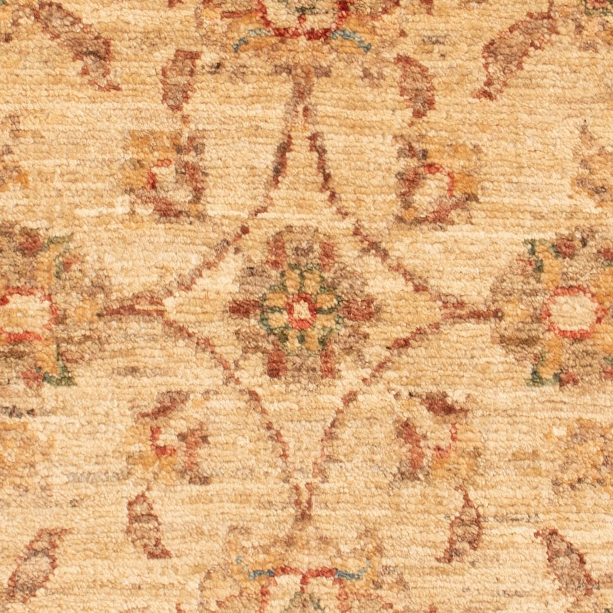 Ziegler Rug - 70 x 50 cm - beige