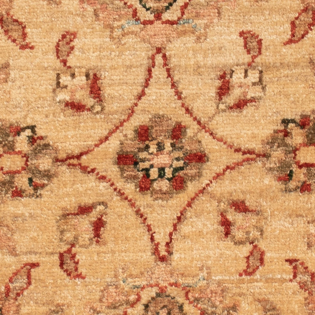 Ziegler Rug - 62 x 50 cm - beige