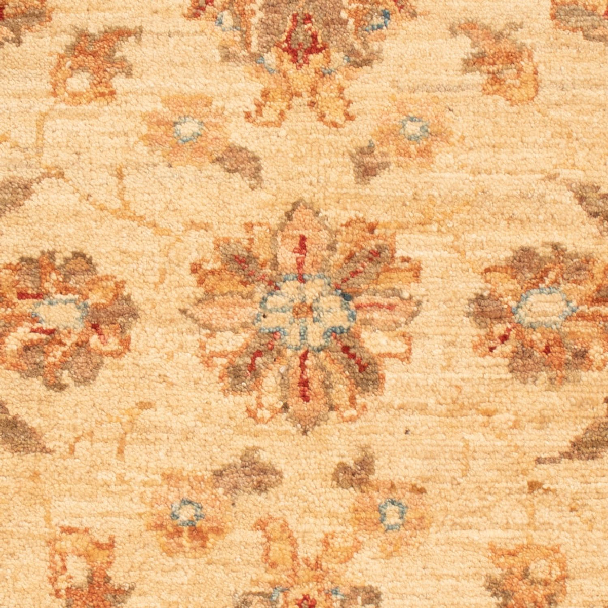 Ziegler Rug - 90 x 58 cm - beige