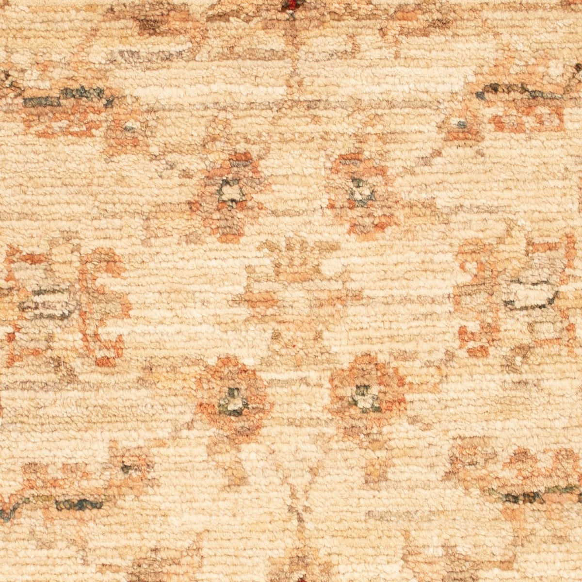Ziegler Rug - 69 x 50 cm - beige