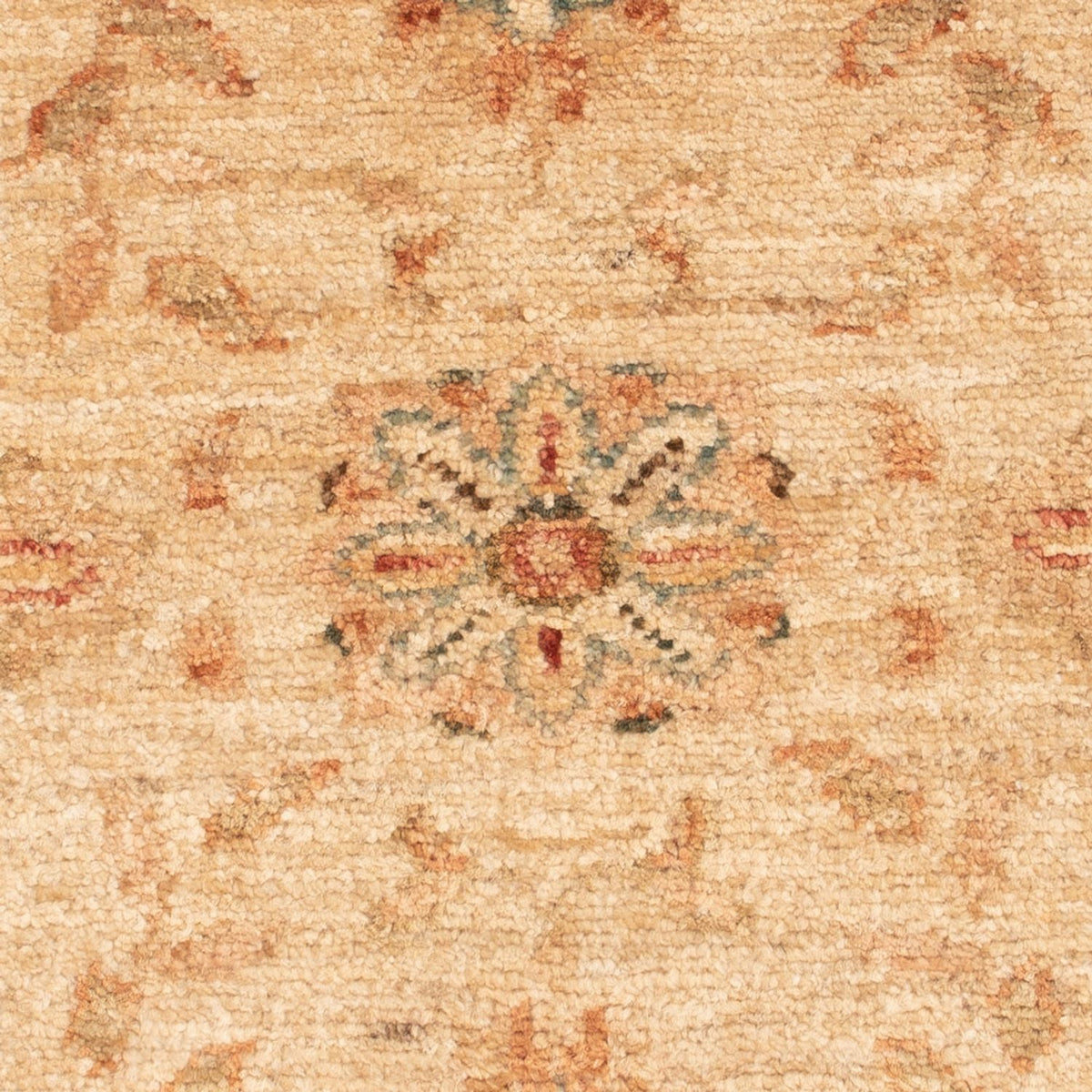 Ziegler Rug - 62 x 51 cm - beige