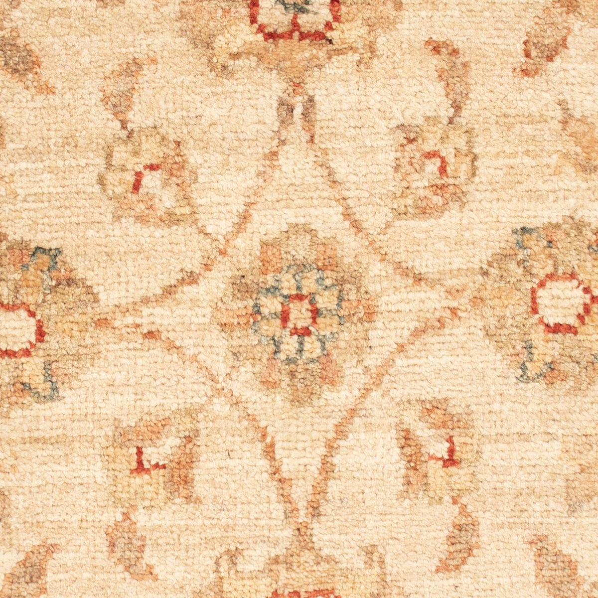 Ziegler Rug - 76 x 54 cm - beige