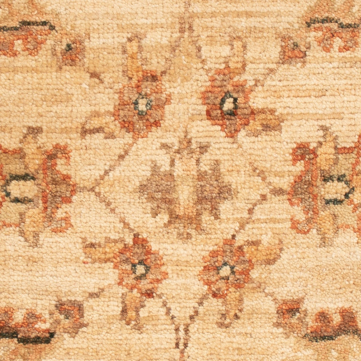 Ziegler Rug - 68 x 50 cm - beige