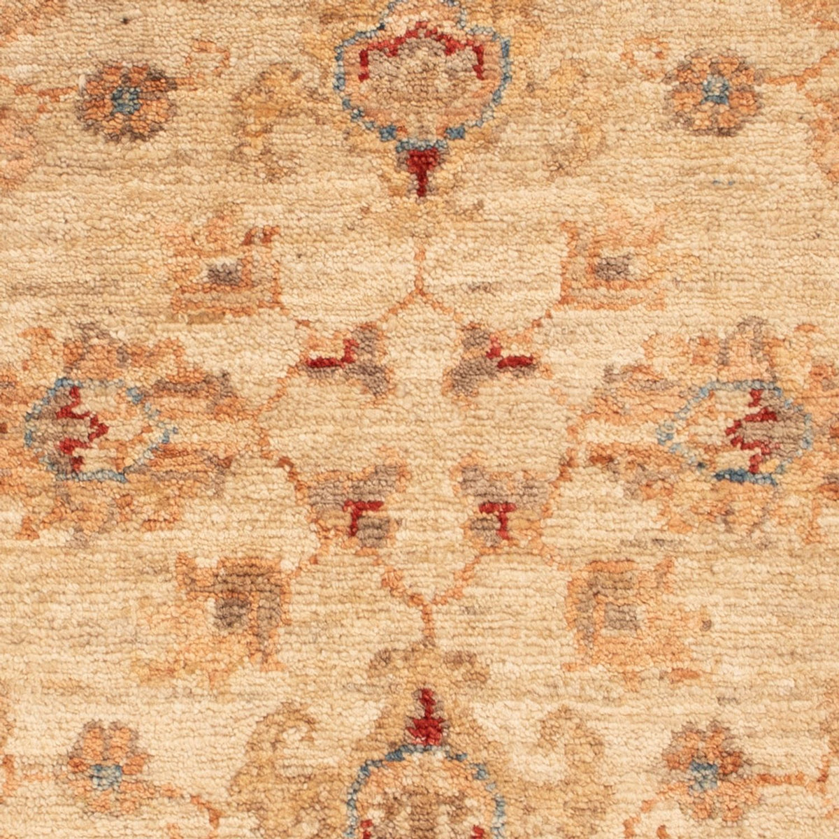 Ziegler Rug - 80 x 60 cm - beige