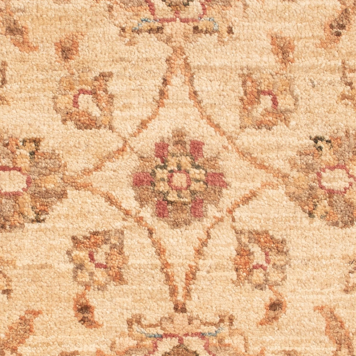 Ziegler Rug - 66 x 49 cm - beige