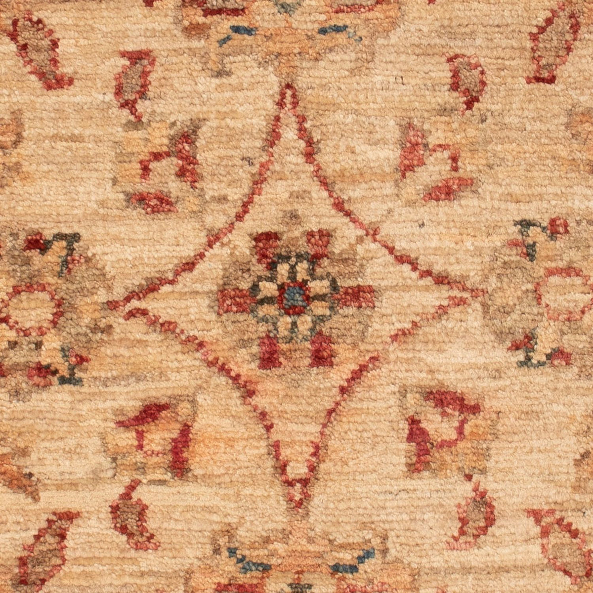 Ziegler Rug - 72 x 51 cm - beige