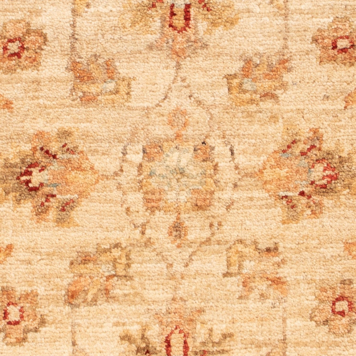 Ziegler Rug - 67 x 50 cm - beige