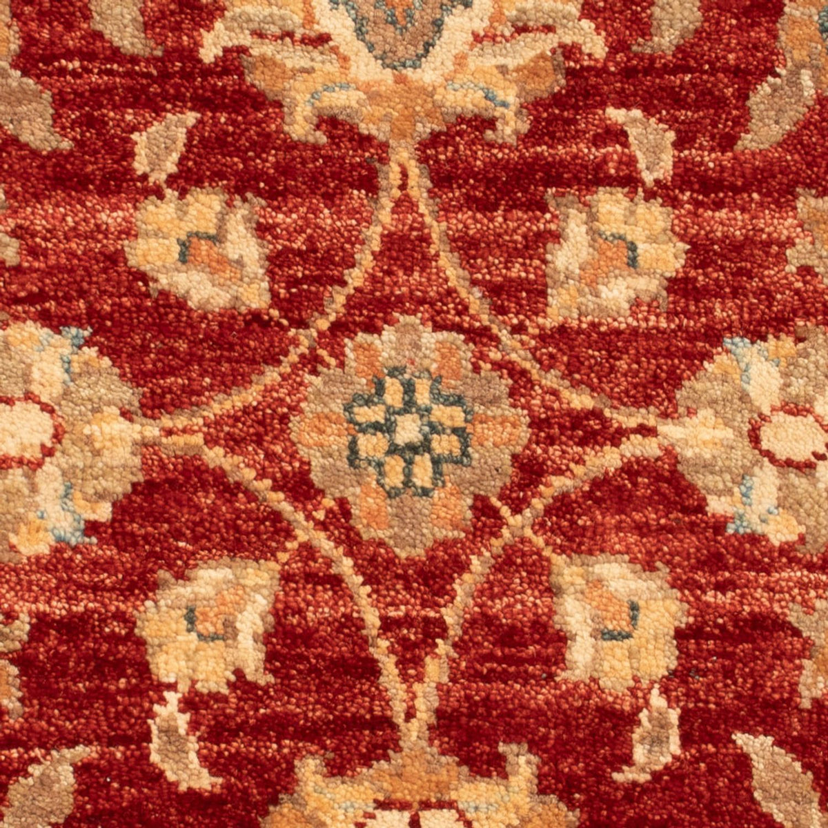 Ziegler Rug - 67 x 53 cm - bordeaux red