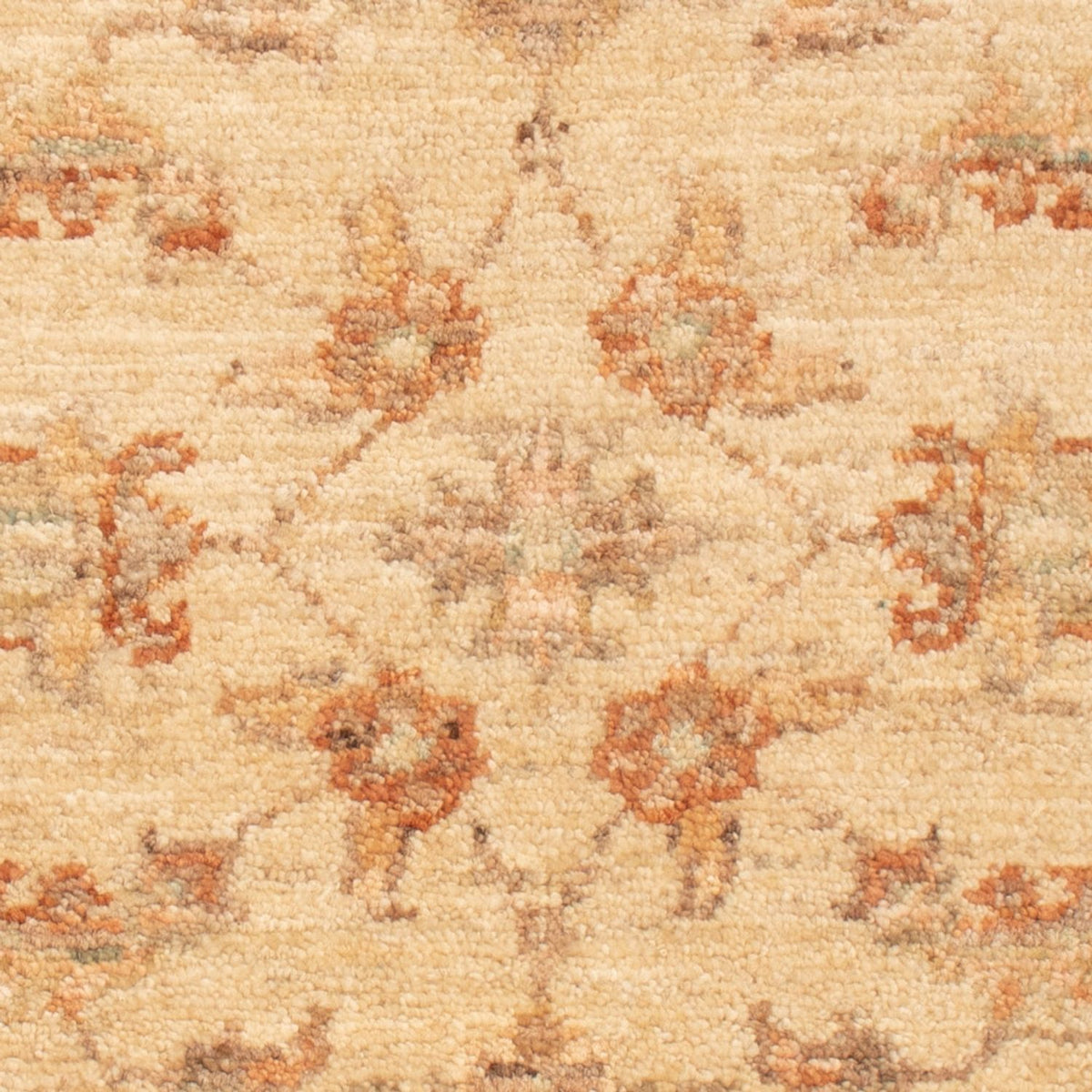 Ziegler Rug - 67 x 51 cm - beige