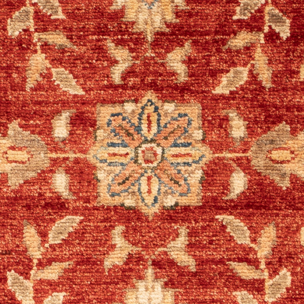 Ziegler Rug - 68 x 53 cm - red