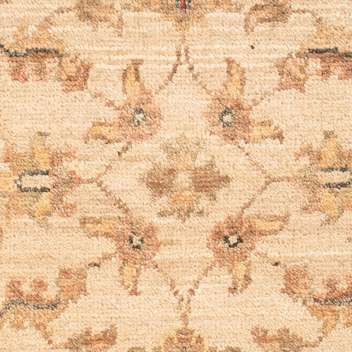 Ziegler Rug - 69 x 49 cm - beige