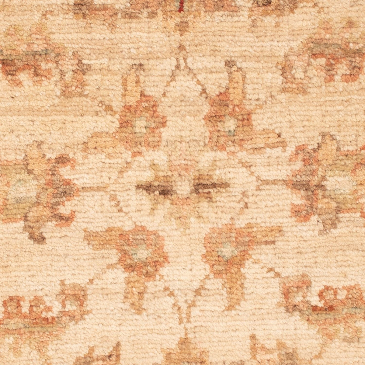 Ziegler Rug - 66 x 51 cm - beige