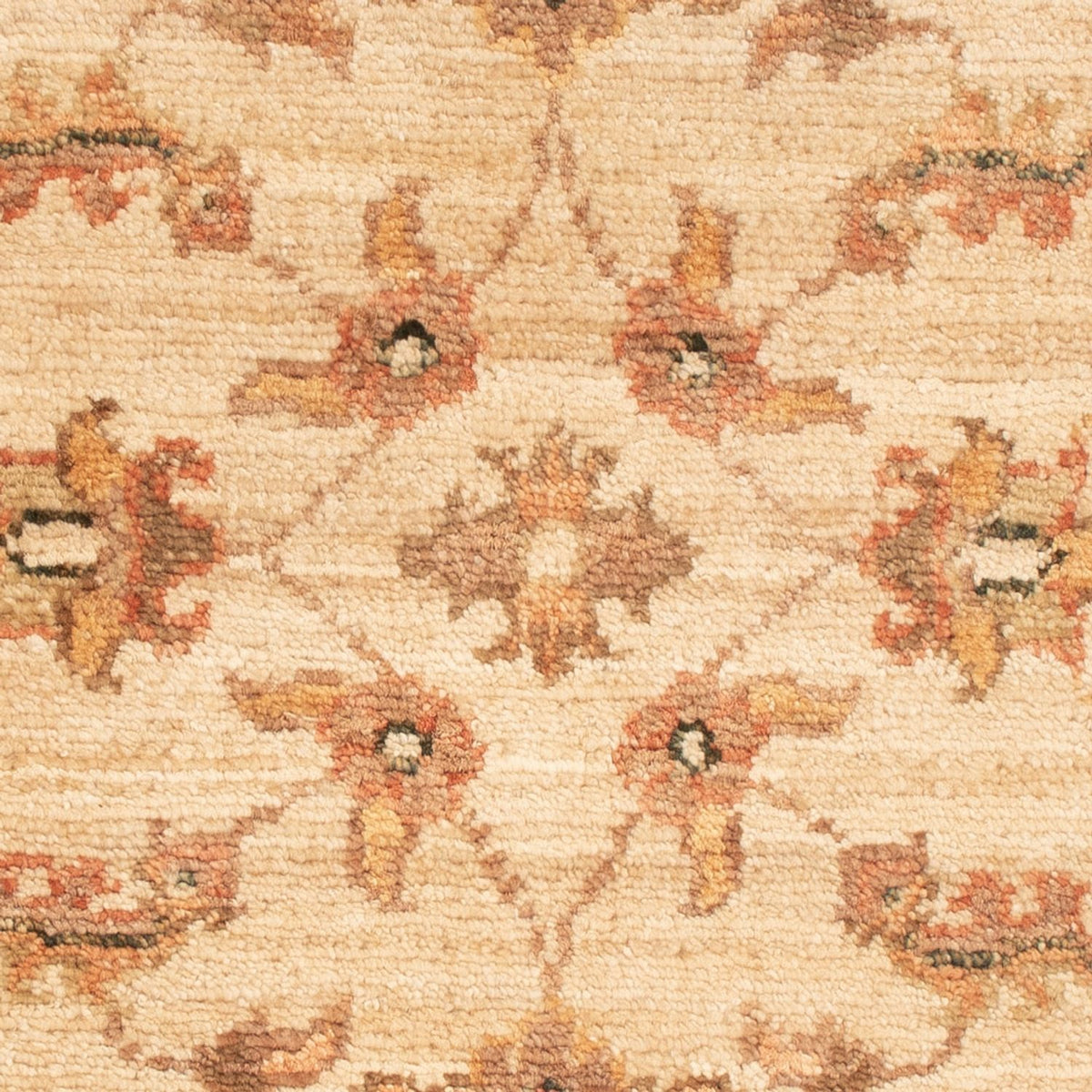 Ziegler Rug - 66 x 50 cm - beige