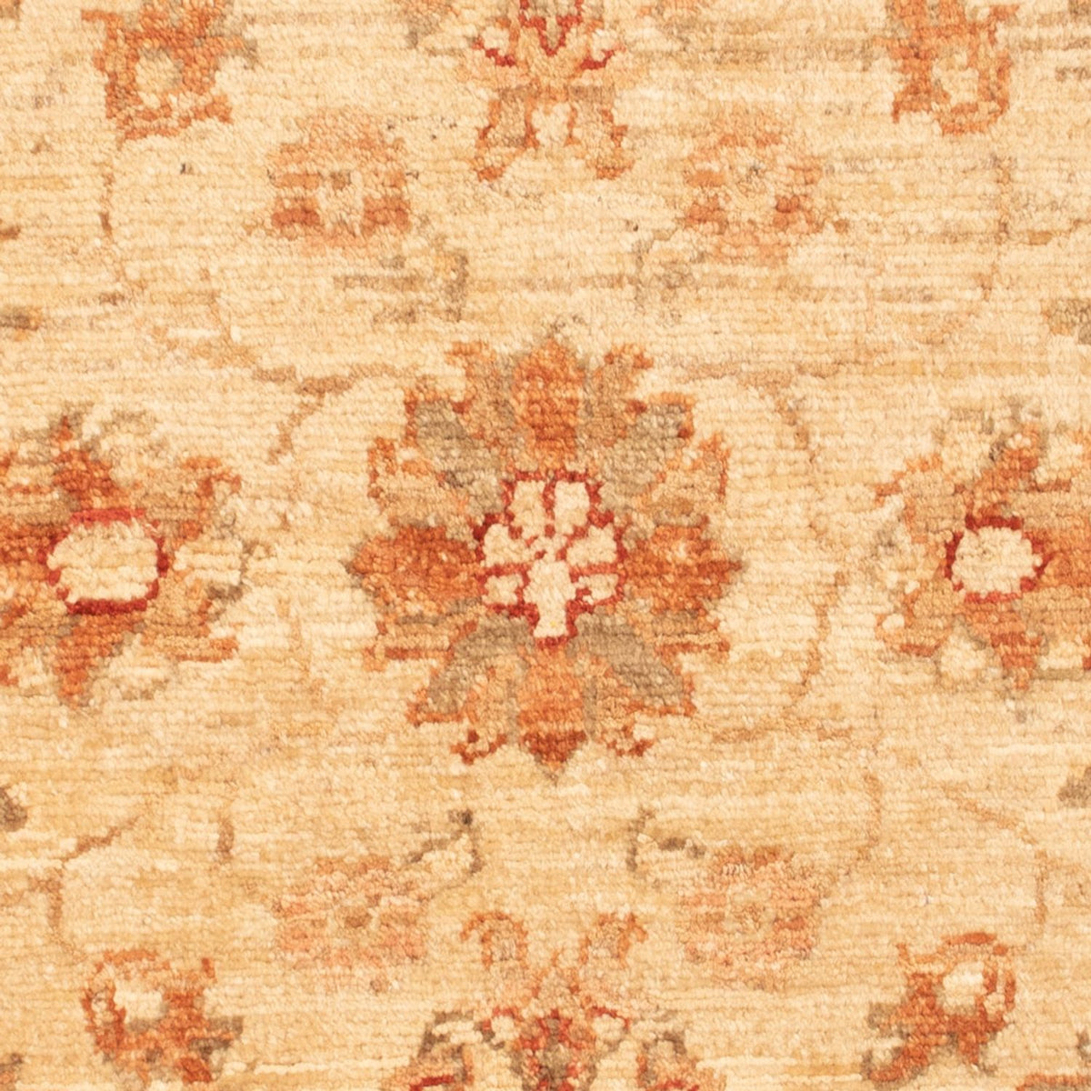 Ziegler Rug - 90 x 61 cm - beige