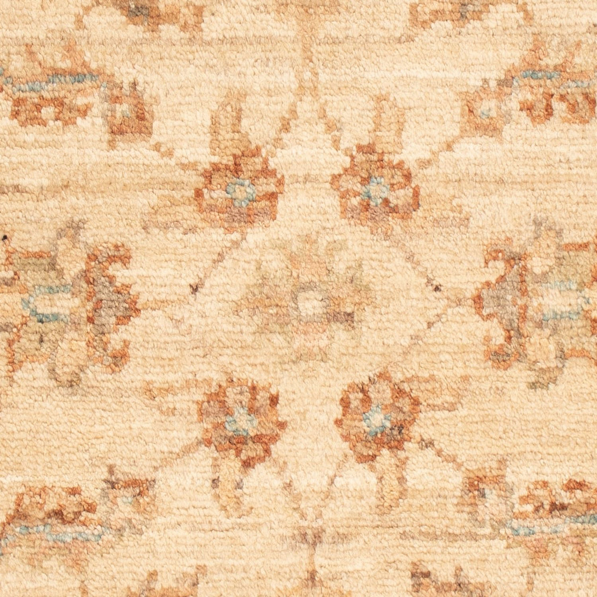 Ziegler Rug - 69 x 50 cm - beige