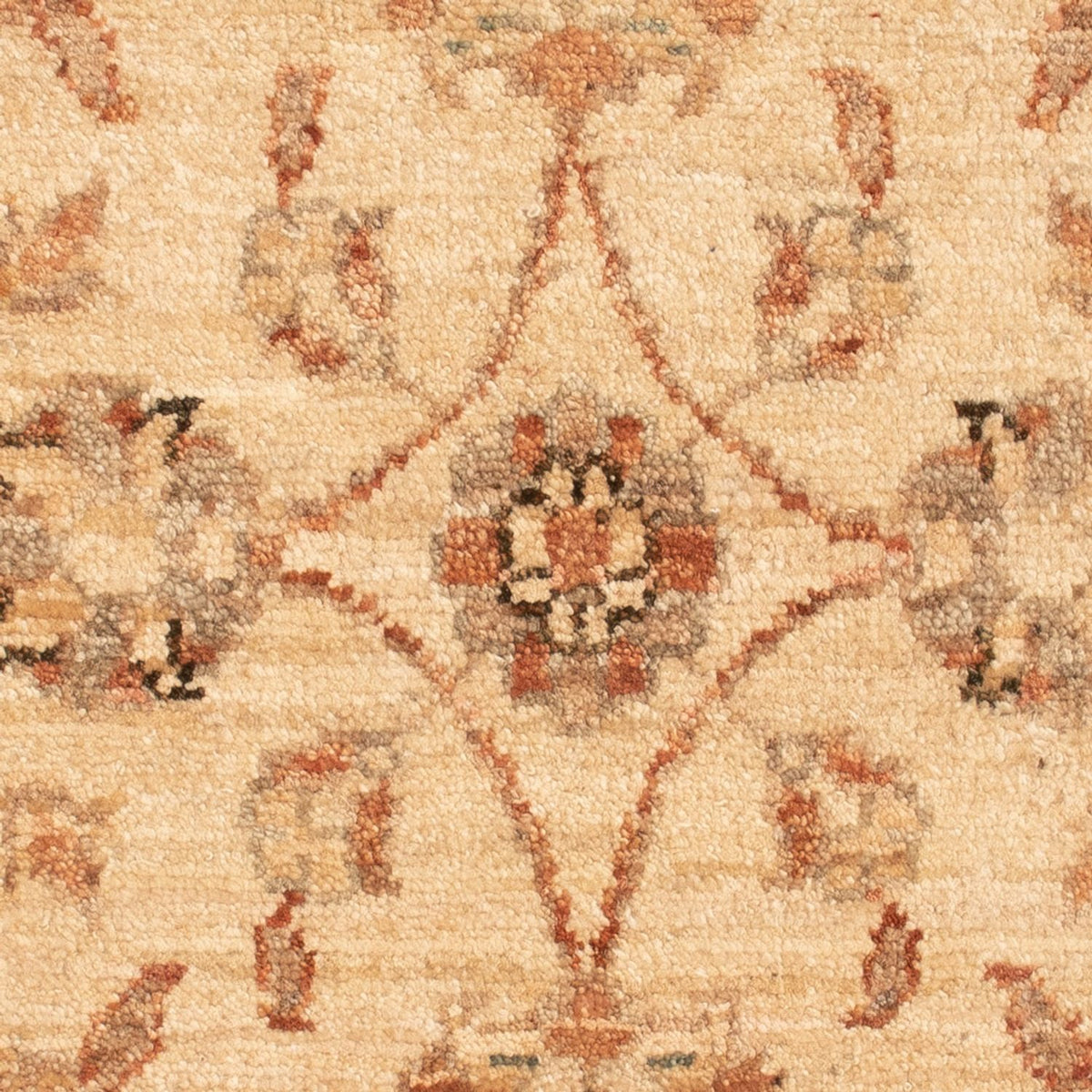 Ziegler Rug - 73 x 51 cm - beige