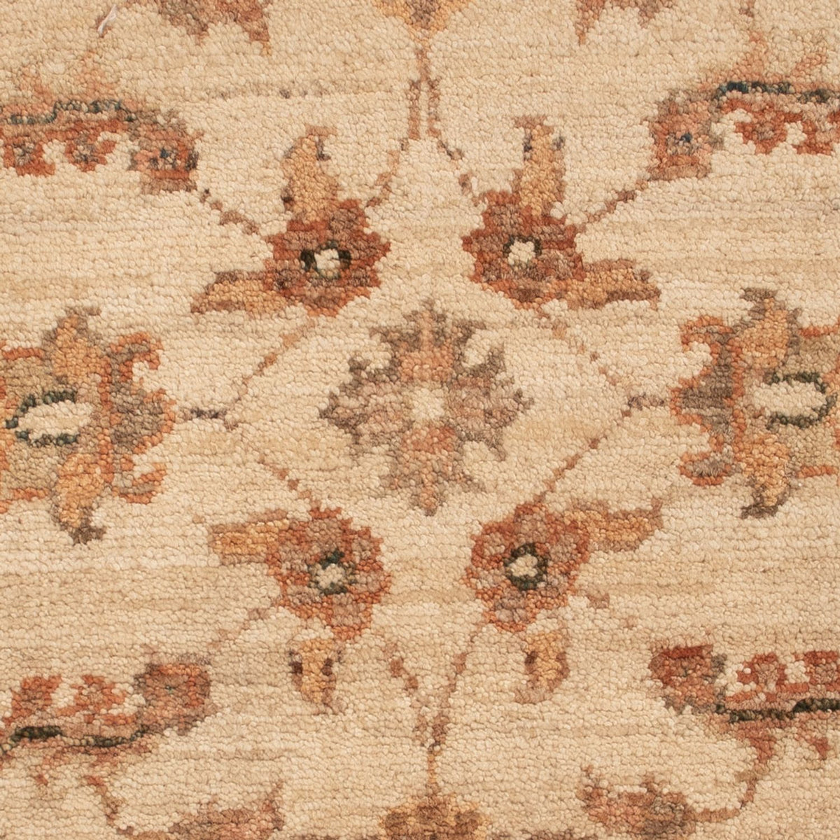 Ziegler Rug - 71 x 50 cm - beige