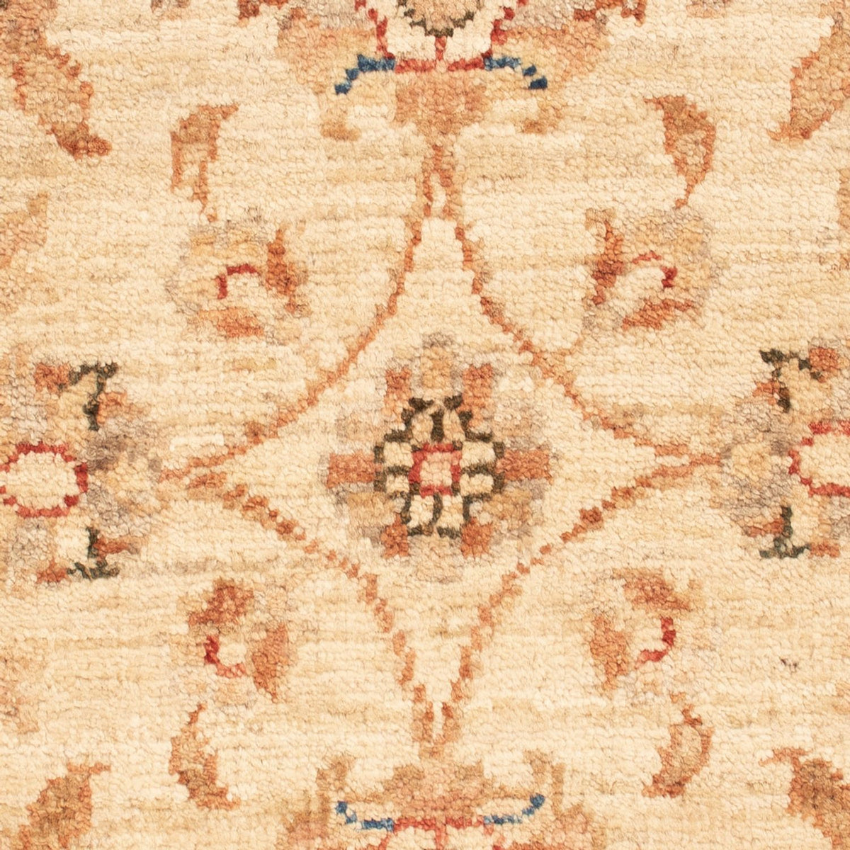Ziegler Rug - 70 x 51 cm - beige