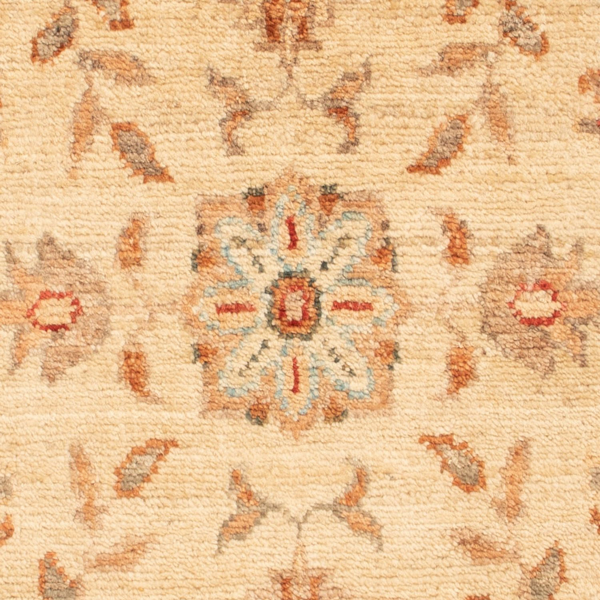 Ziegler Rug - 74 x 50 cm - beige