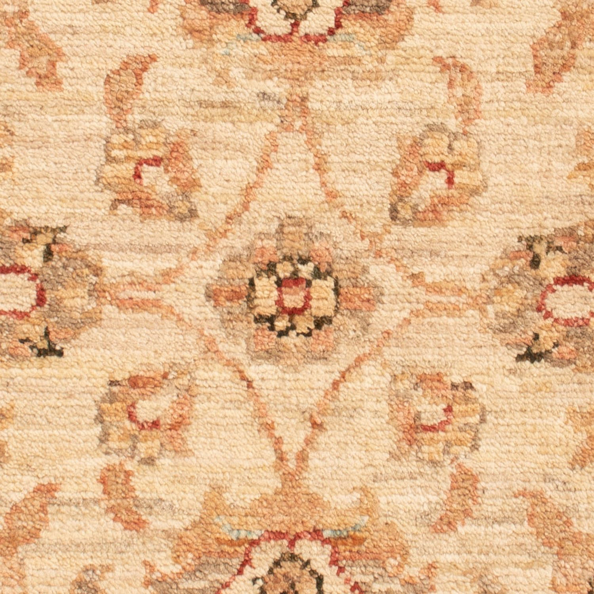 Ziegler Rug - 71 x 50 cm - beige