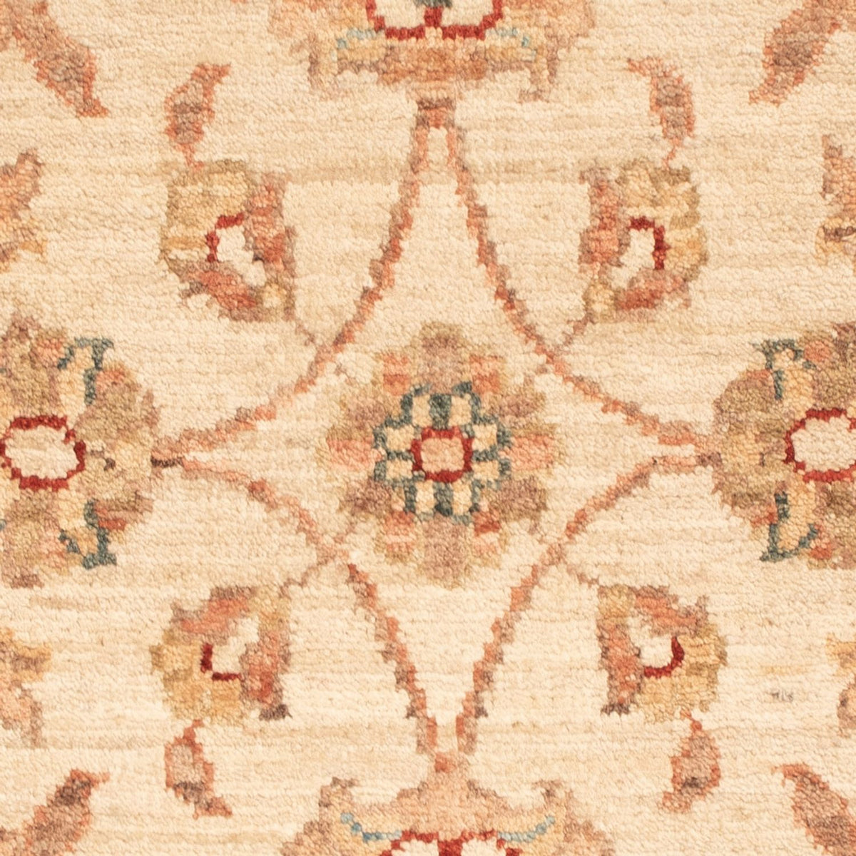 Ziegler Rug - 74 x 48 cm - beige