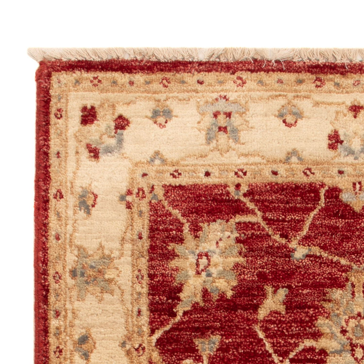 Ziegler Rug 60x90cm - Oriental Rug