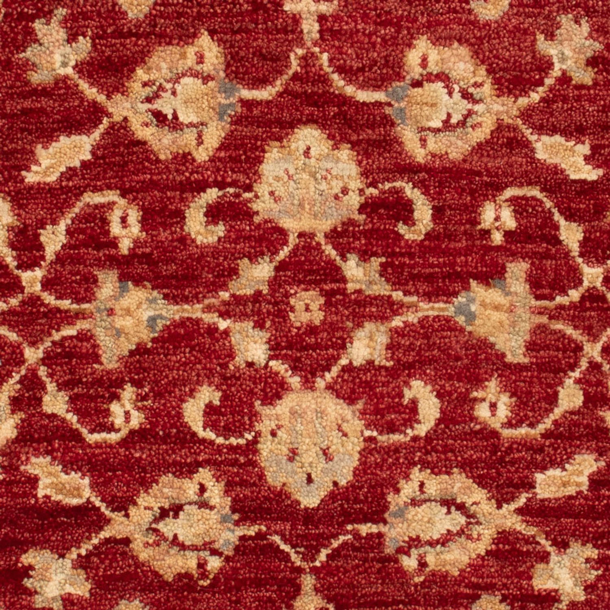 Ziegler Rug - 90 x 60 cm - bordeaux red
