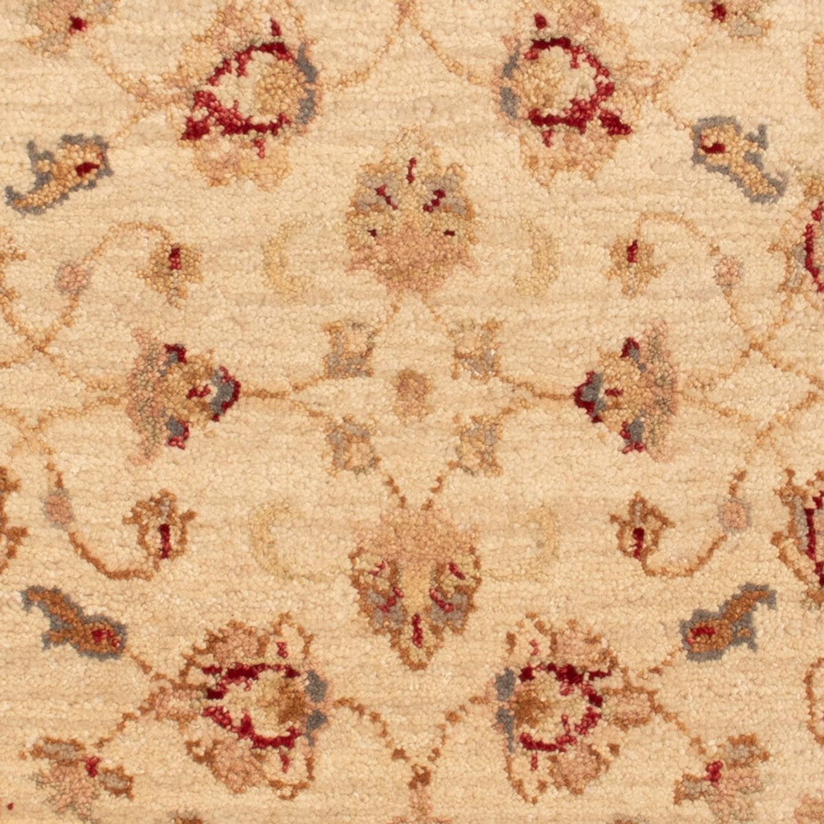 Ziegler Rug - 90 x 60 cm - beige
