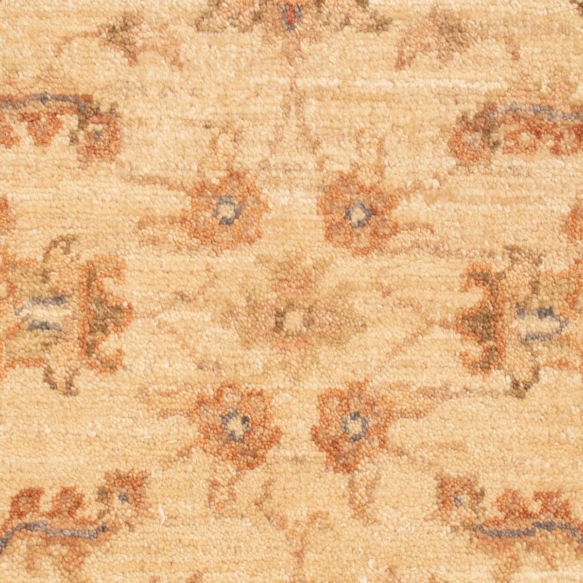 Ziegler Rug - 63 x 49 cm - beige