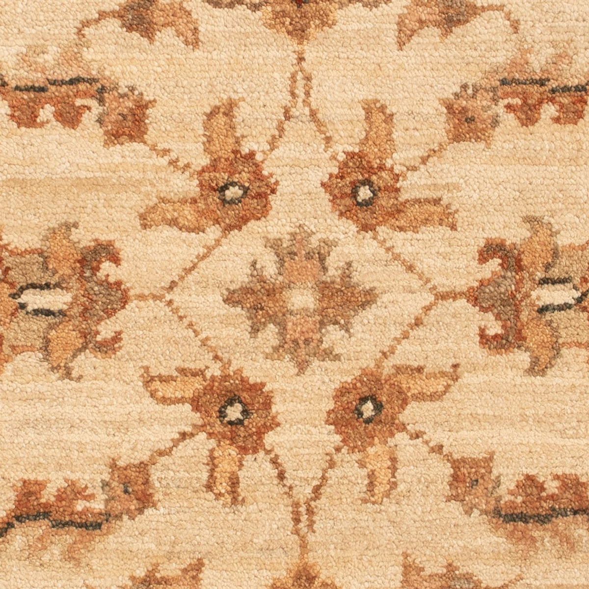 Ziegler Rug - 70 x 52 cm - beige