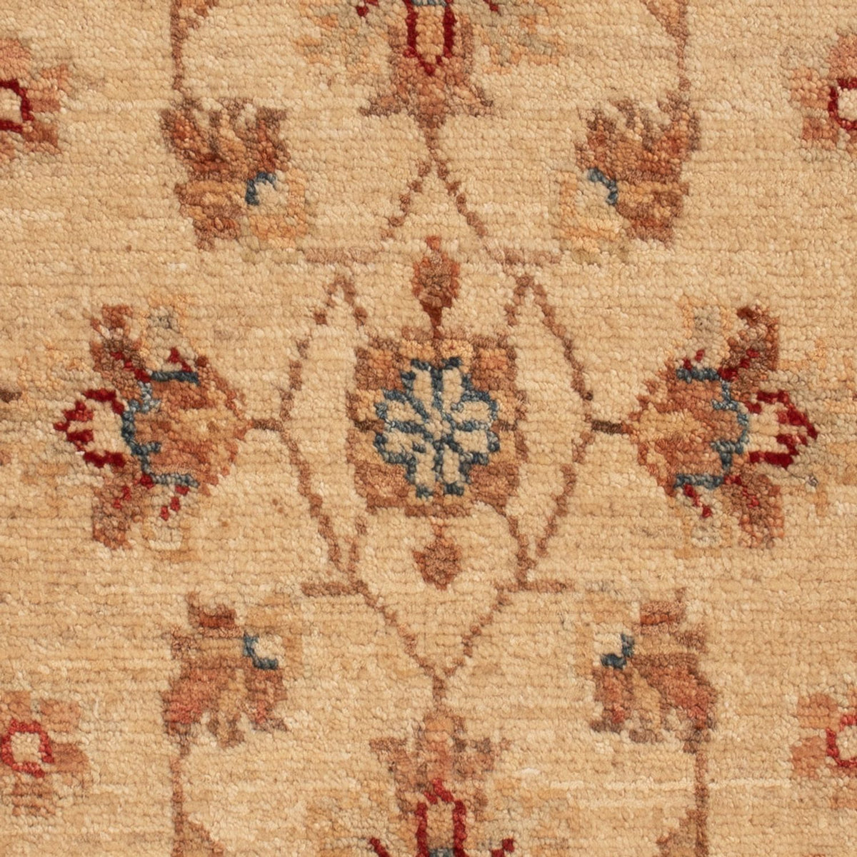 Ziegler Rug - 70 x 51 cm - beige