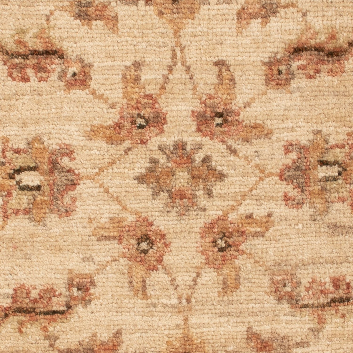 Ziegler Rug - 70 x 50 cm - beige