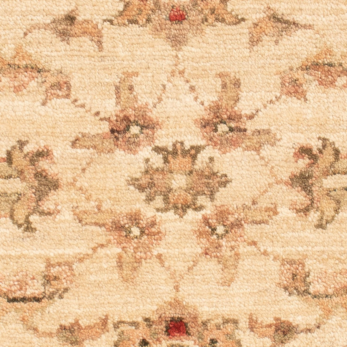 Ziegler Rug - 67 x 52 cm - beige