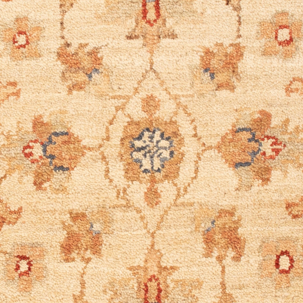 Ziegler Rug - 78 x 53 cm - beige