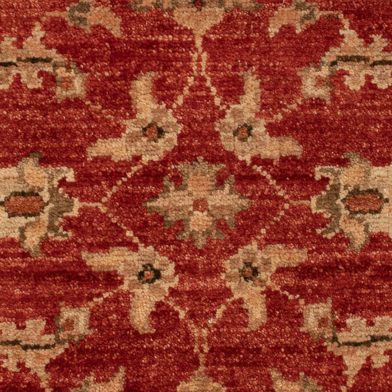 Ziegler Rug 49x67cm - Oriental Rug