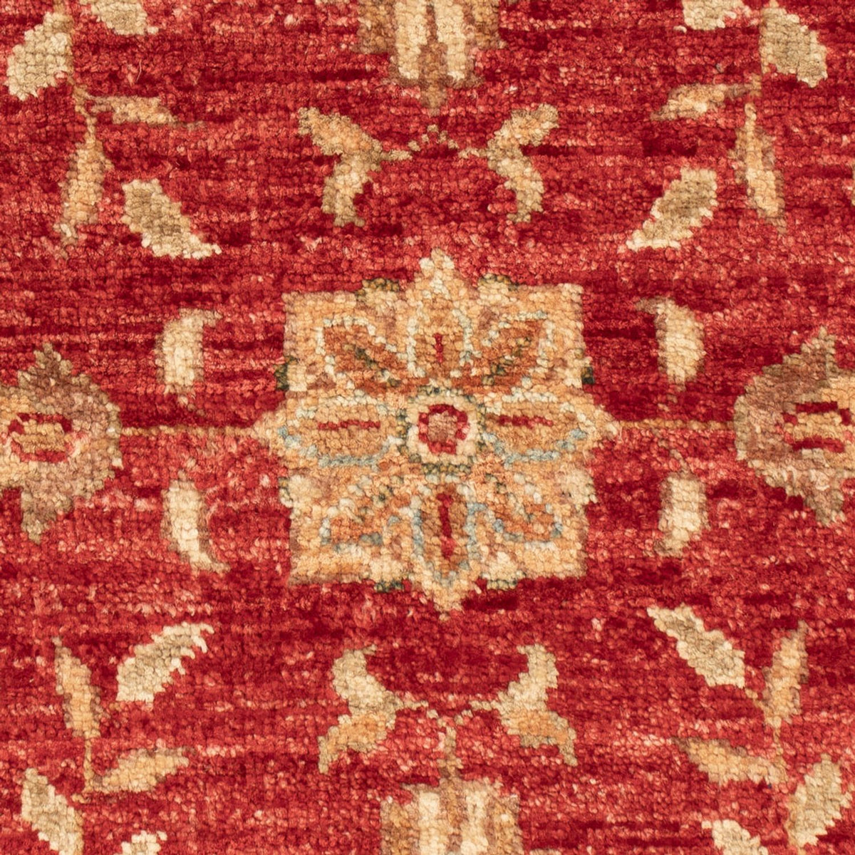Ziegler Rug - 68 x 50 cm - red