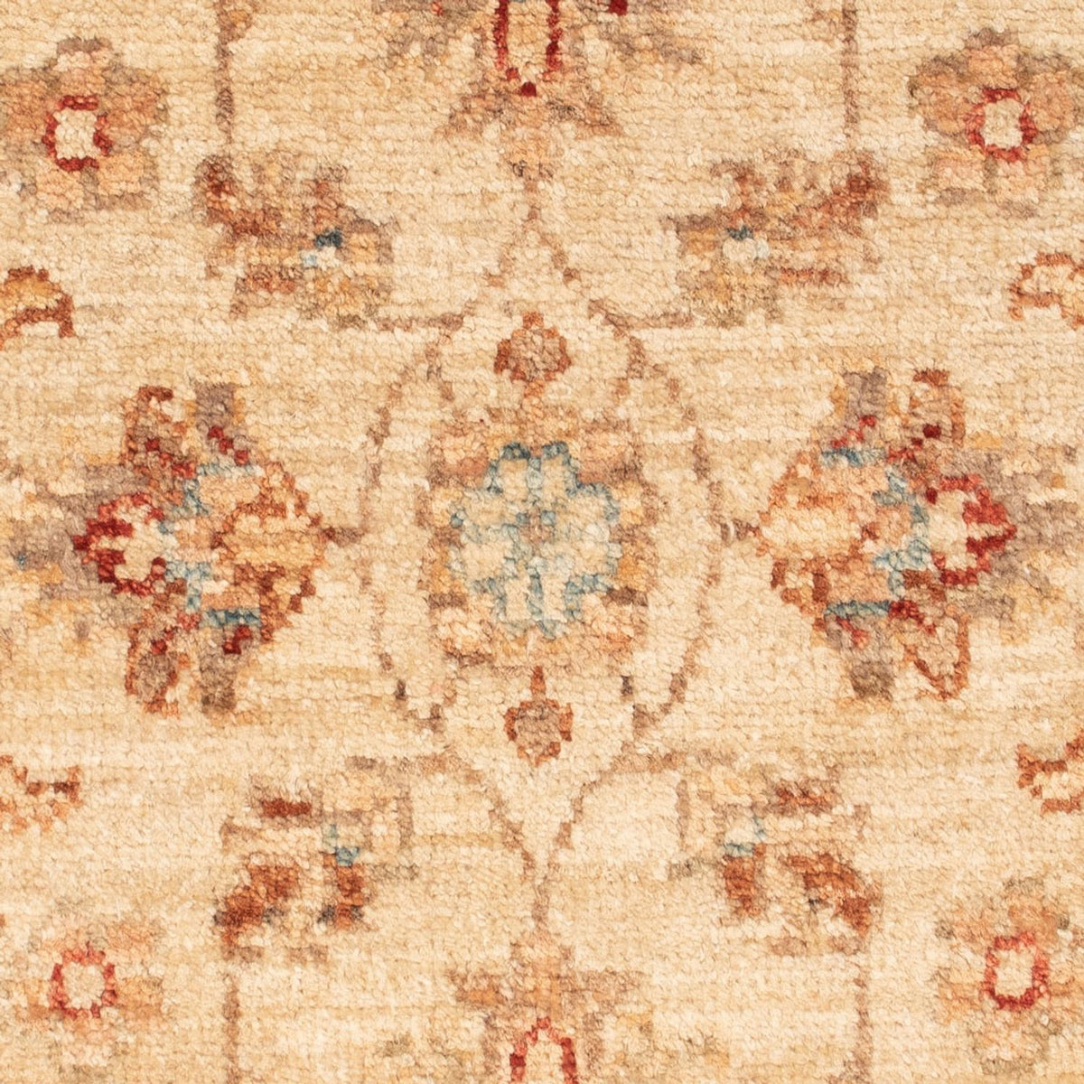 Ziegler Rug - 70 x 50 cm - beige