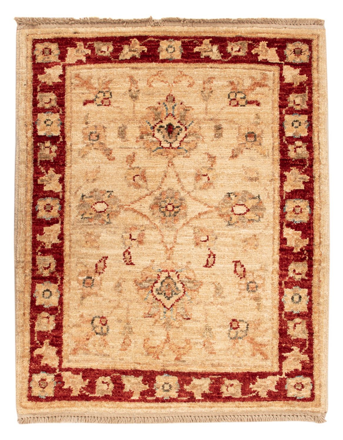 Ziegler Rug - 65 x 51 cm - beige