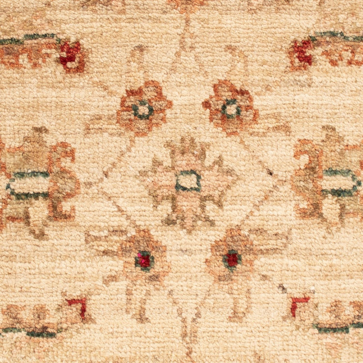 Ziegler Rug - 67 x 50 cm - beige